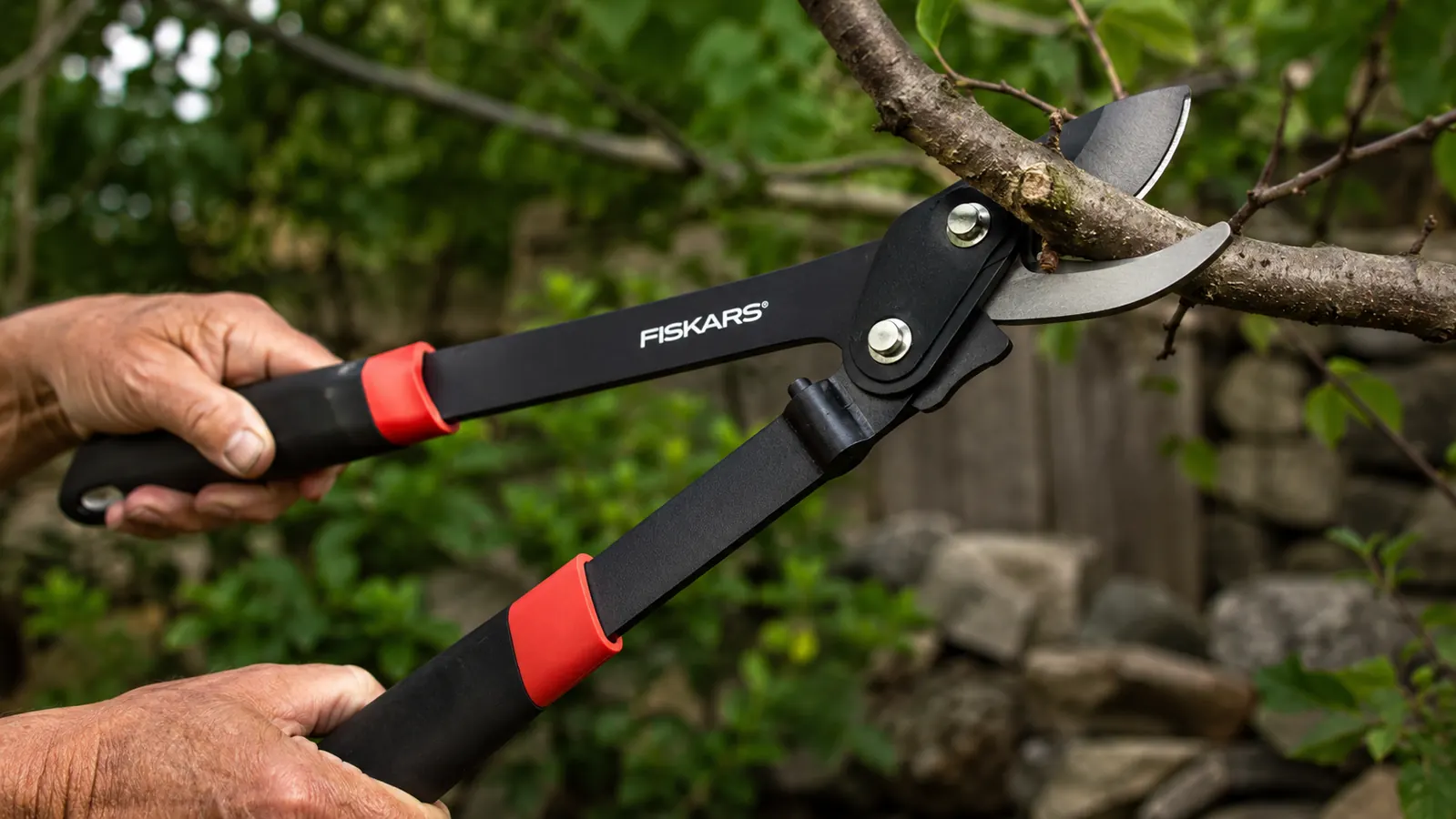 Close-up of bypass lopper blades closing around a thick woody branch showing the scissor-style cutting action