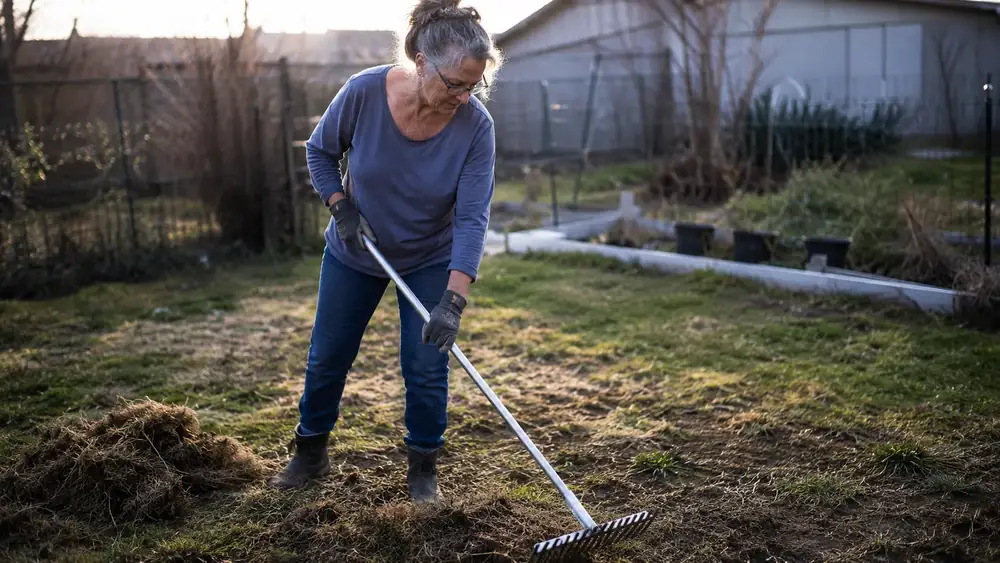 Woman in her 60s dragging a steel bow rake across a lumpy backyard lawn in early spring light